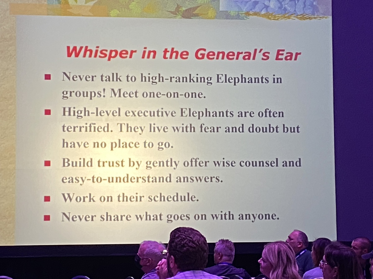Never talk to elephants of high-ranking people in groups. Meet 1/1, "whisper in the general's ear". 